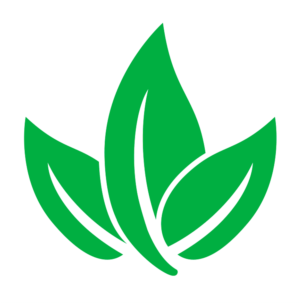 The CO2 Company