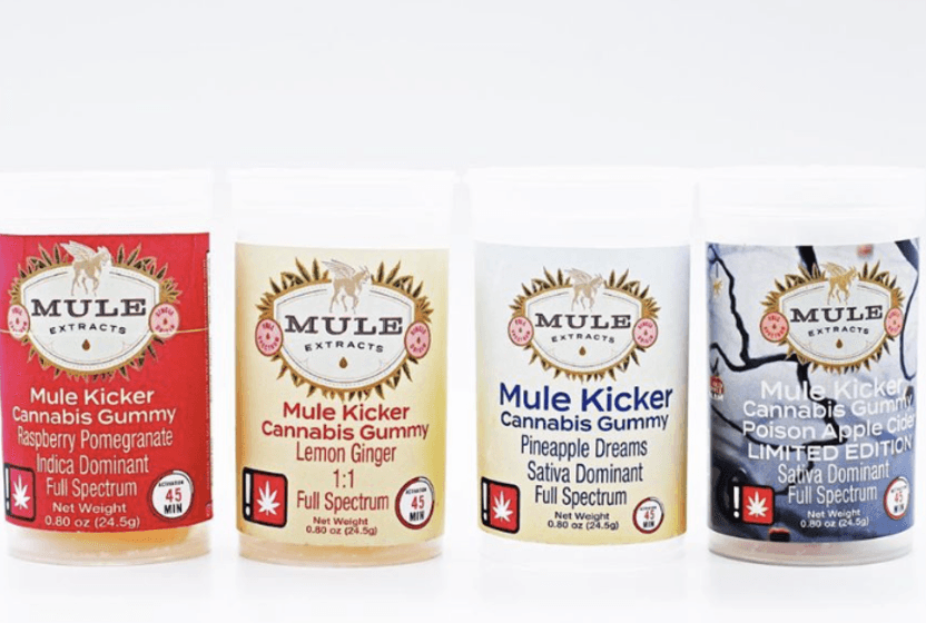 Mule Kicker Twisted Citrus