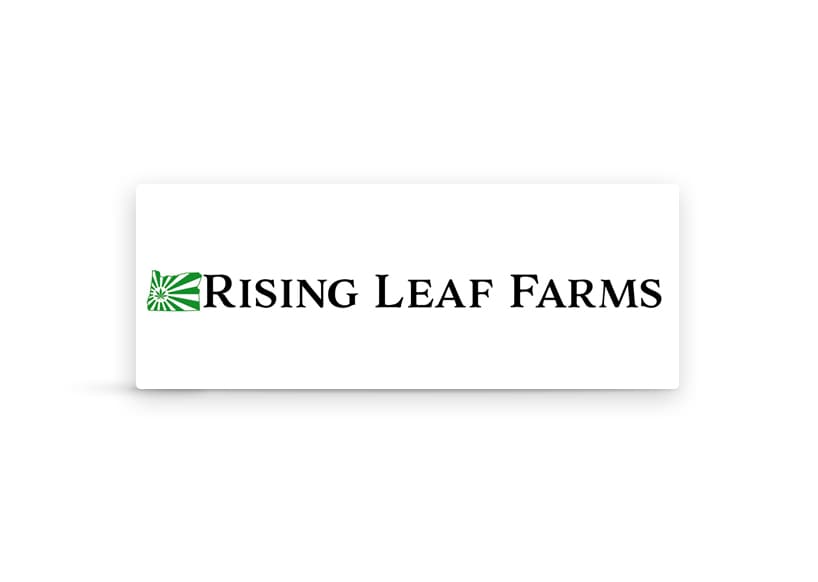Rising Leaf