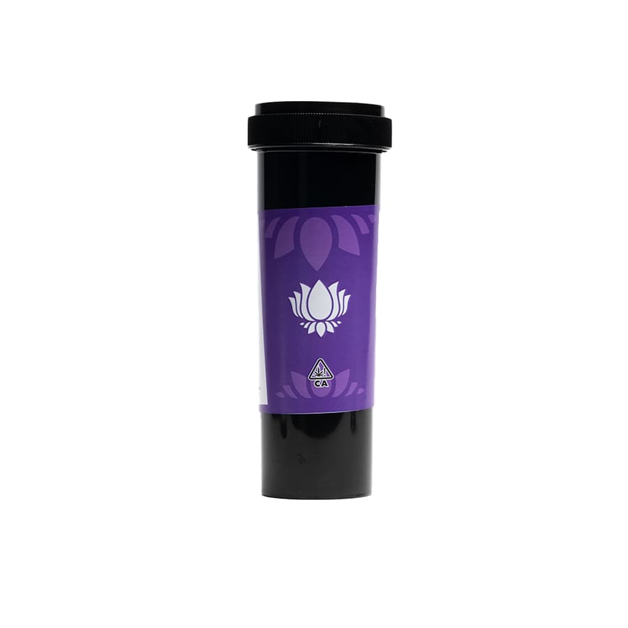 Purple Lotus