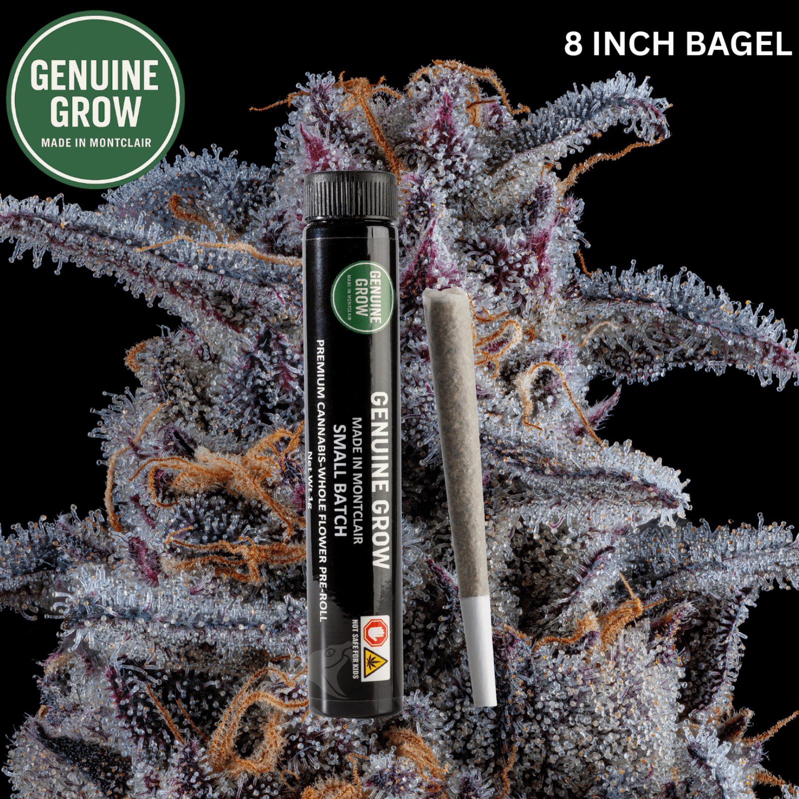 Genuine Grow 8 INCH BAGEL | 1G