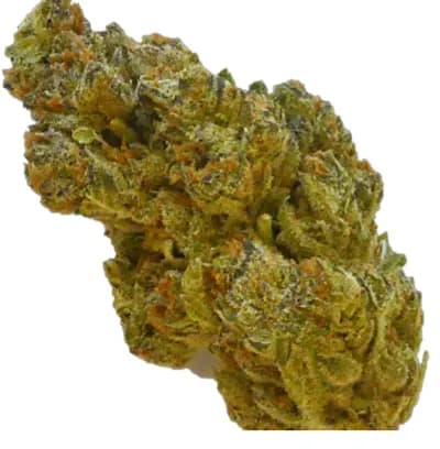 First Choice Cannabis Products Co Ltd VANILLA ICE