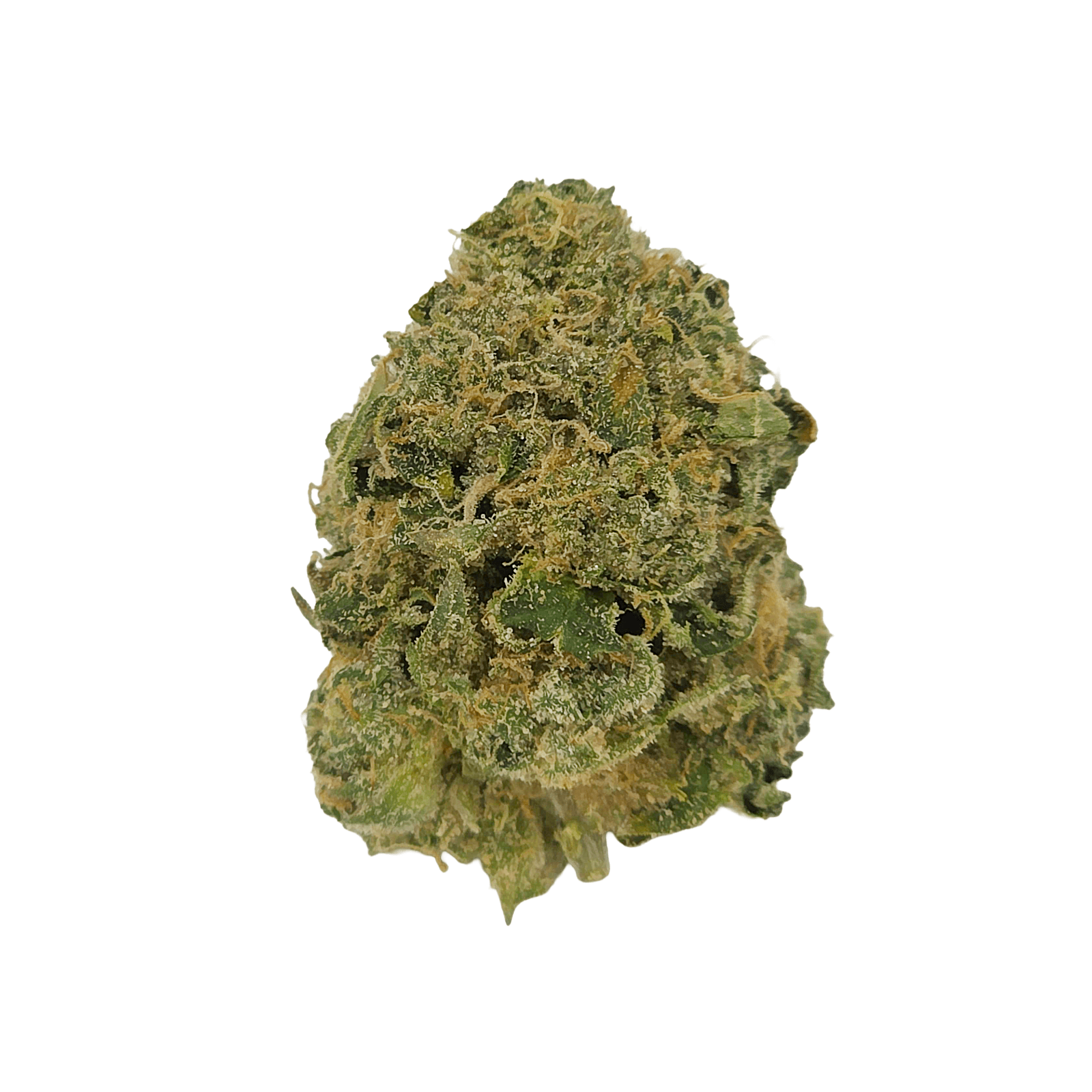 Pacific Frost Farms Crown MeridianZ