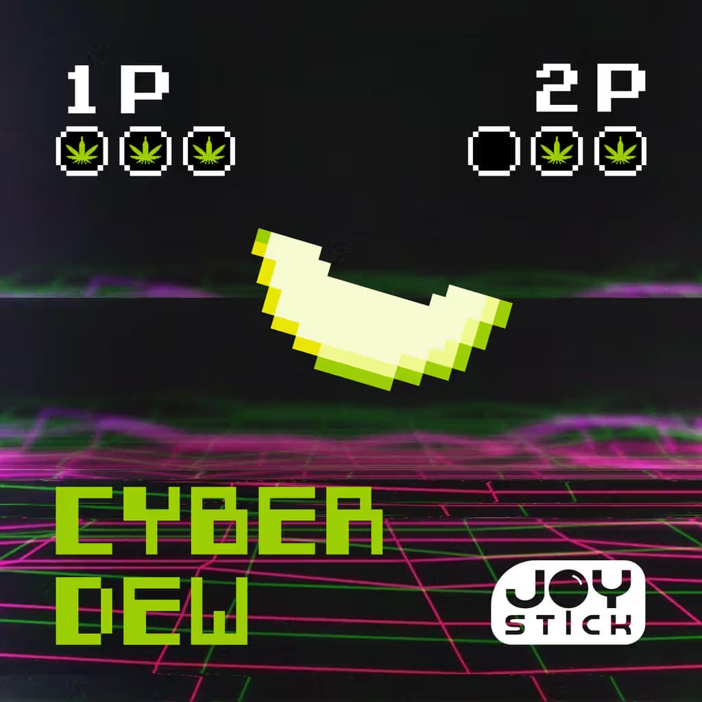 Joy Stick