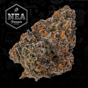 NEA Premium