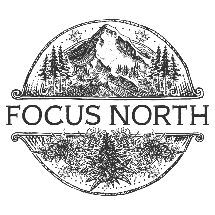 Focus North Gardens Bomb Sauce