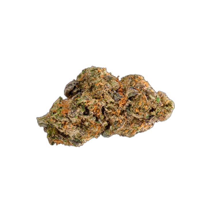 Re-Upz Re-Upz: Animal Cookies