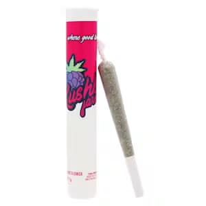 Kushberry Farms Glitter Bomb PR