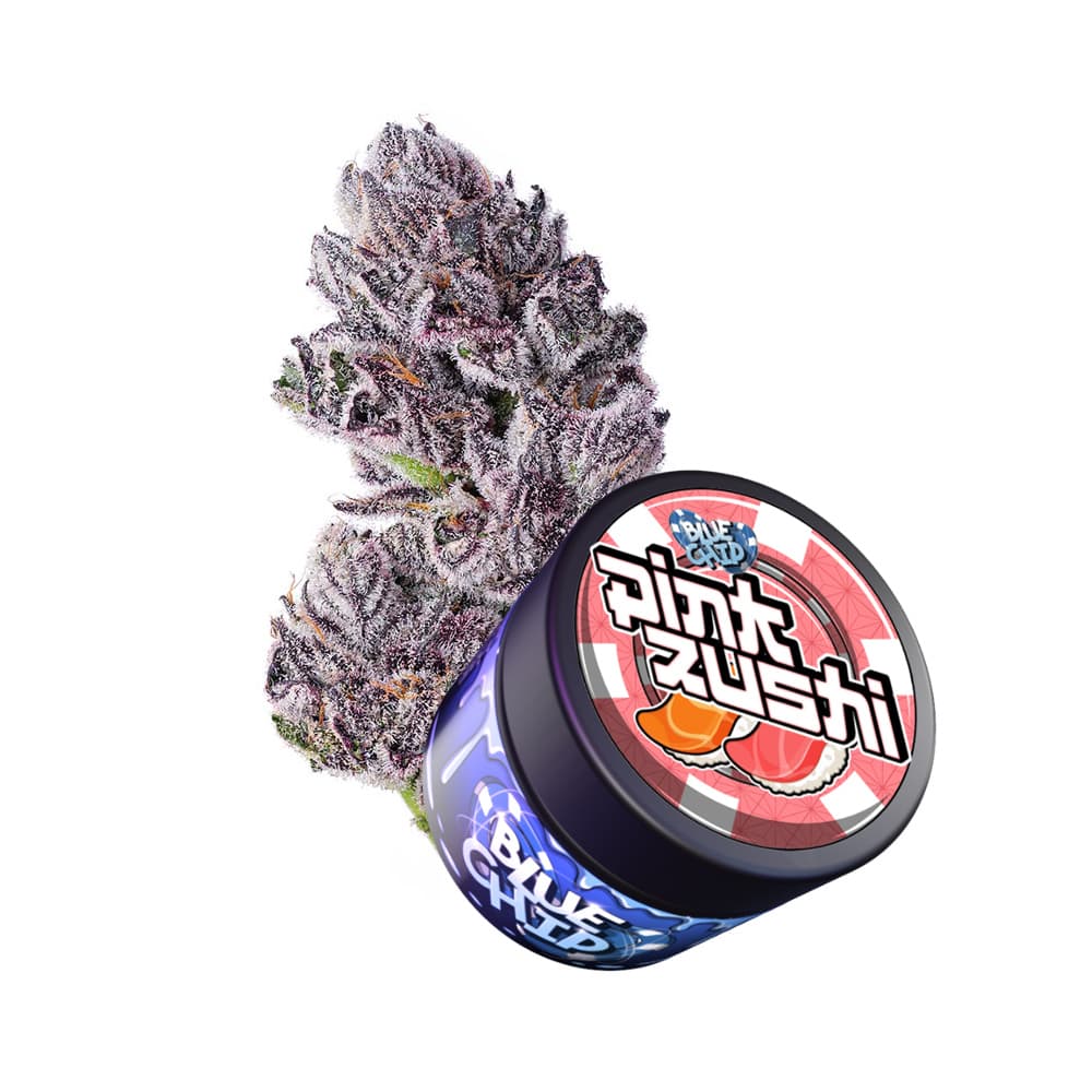 Blue Chip Pink Zushi