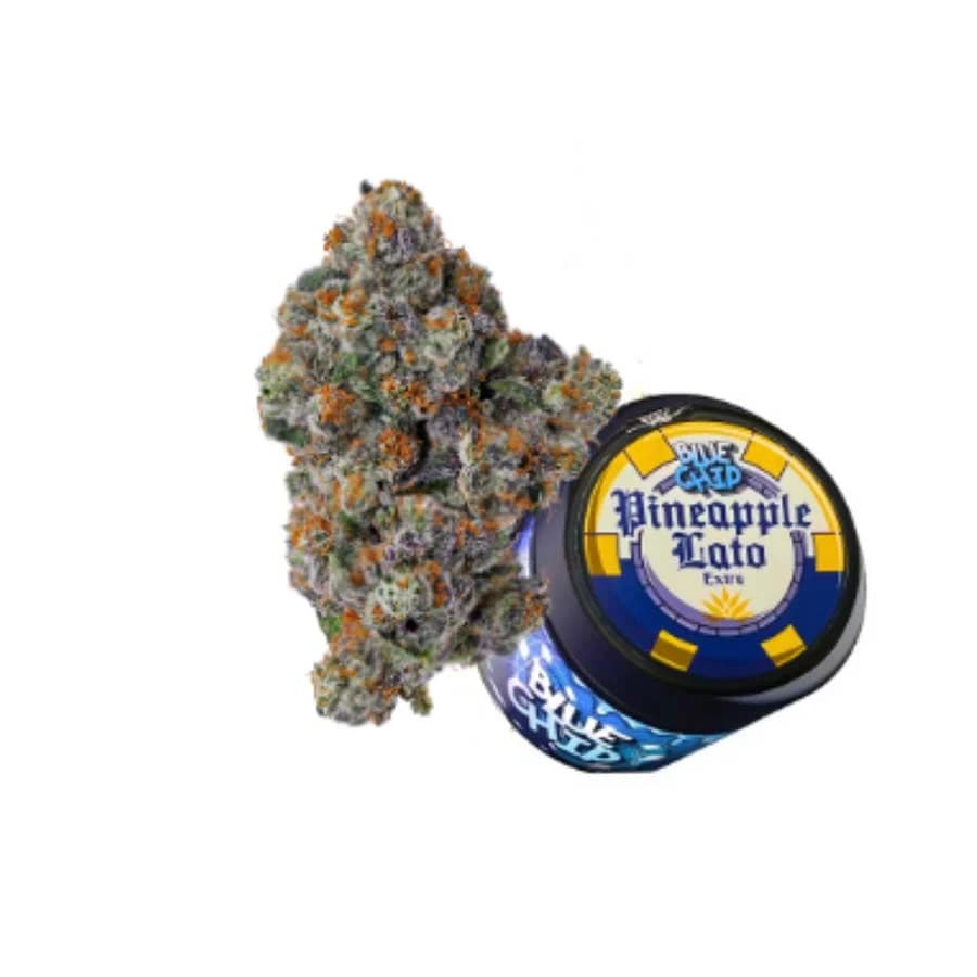 Blue Chip Pineapple Lato