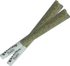 Elysium Fields Elysium Fields | GHOST TRAIN HAZE Preroll