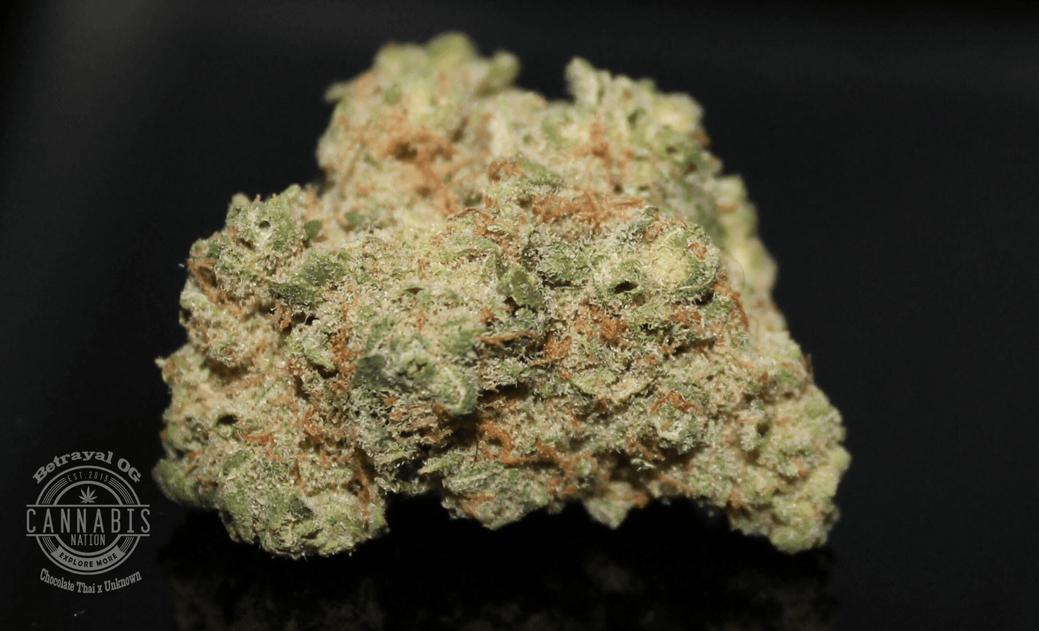 Cannabis Nation Flower | Betrayal OG