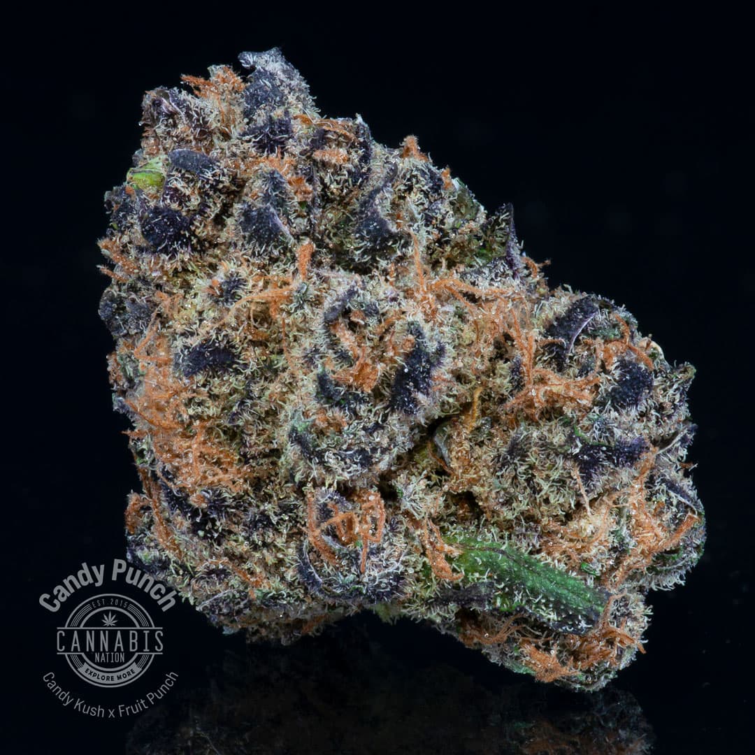 Cannabis Nation Flower | Candy Punch