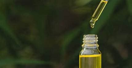 Hapy Kitchen Citrus THC (Uplift)