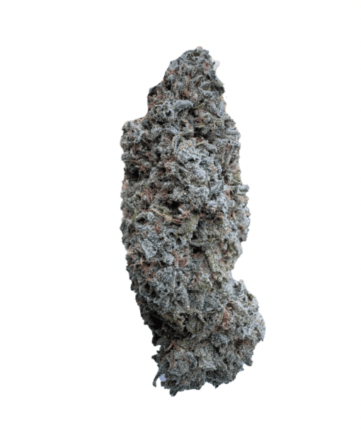 Salt Spring Magic Island Zeus By Salt Spring Magic 3.5g