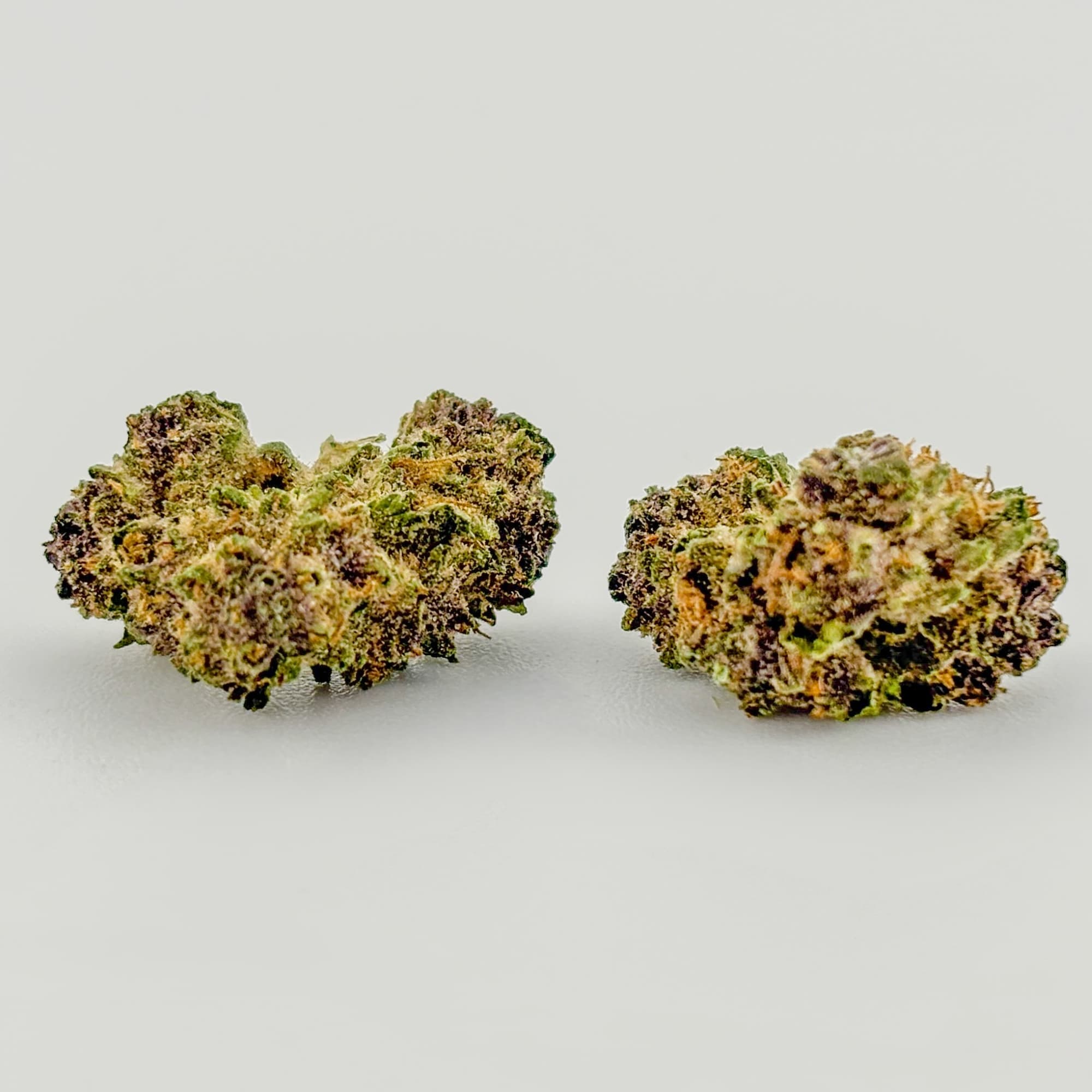 Williams Wonder Farms Blockberry (Williams)