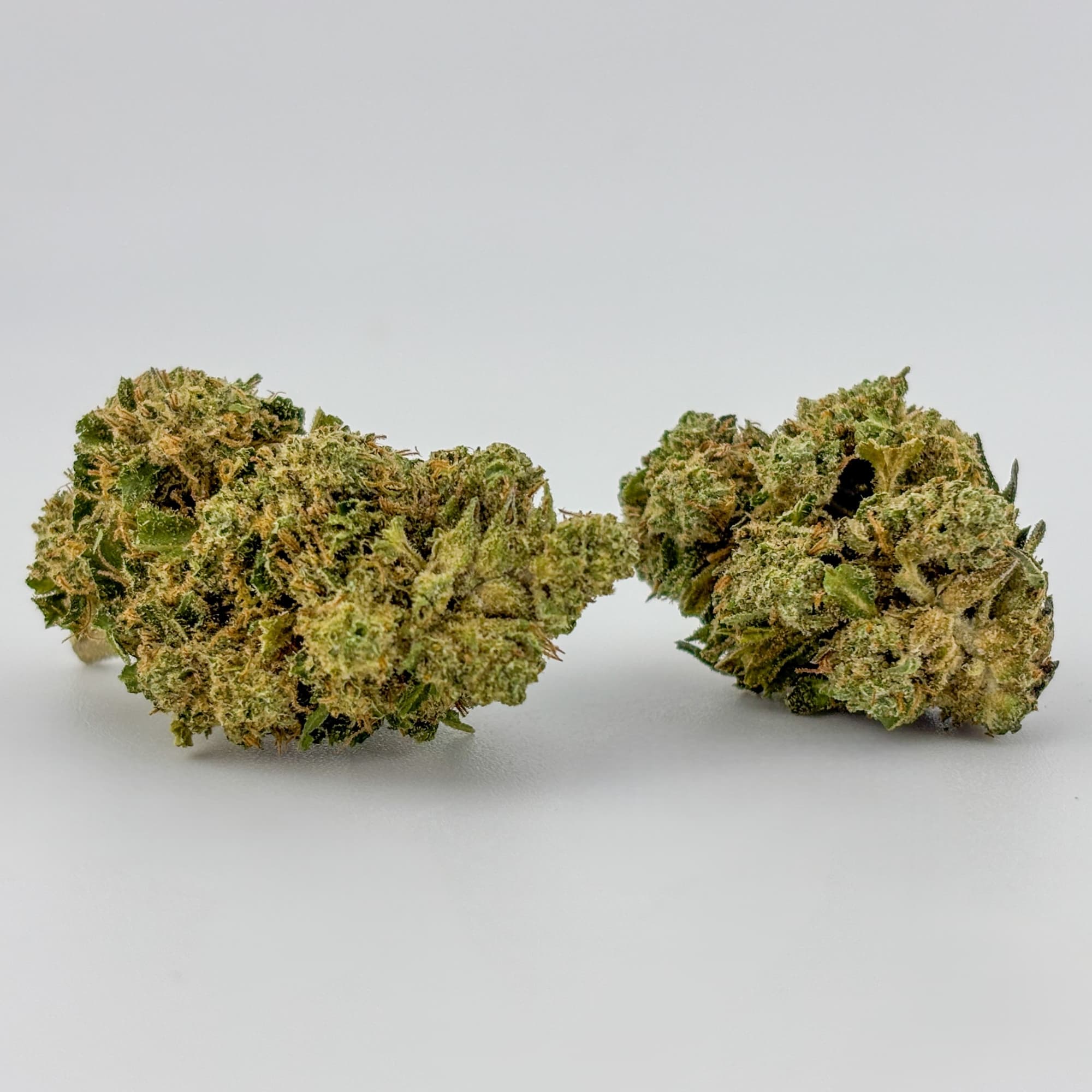 Williams Wonder Farms Williams Wonder | Flower [H] | Designer Runtz (7040)