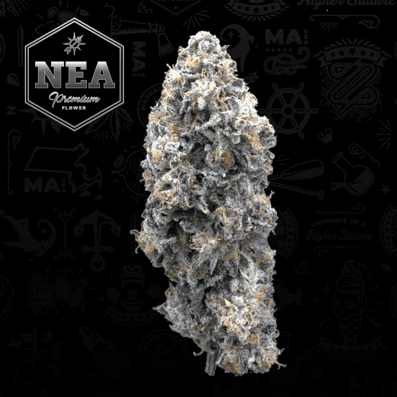 NEA Premium NEA Premium | Street Tartz | 3.5g