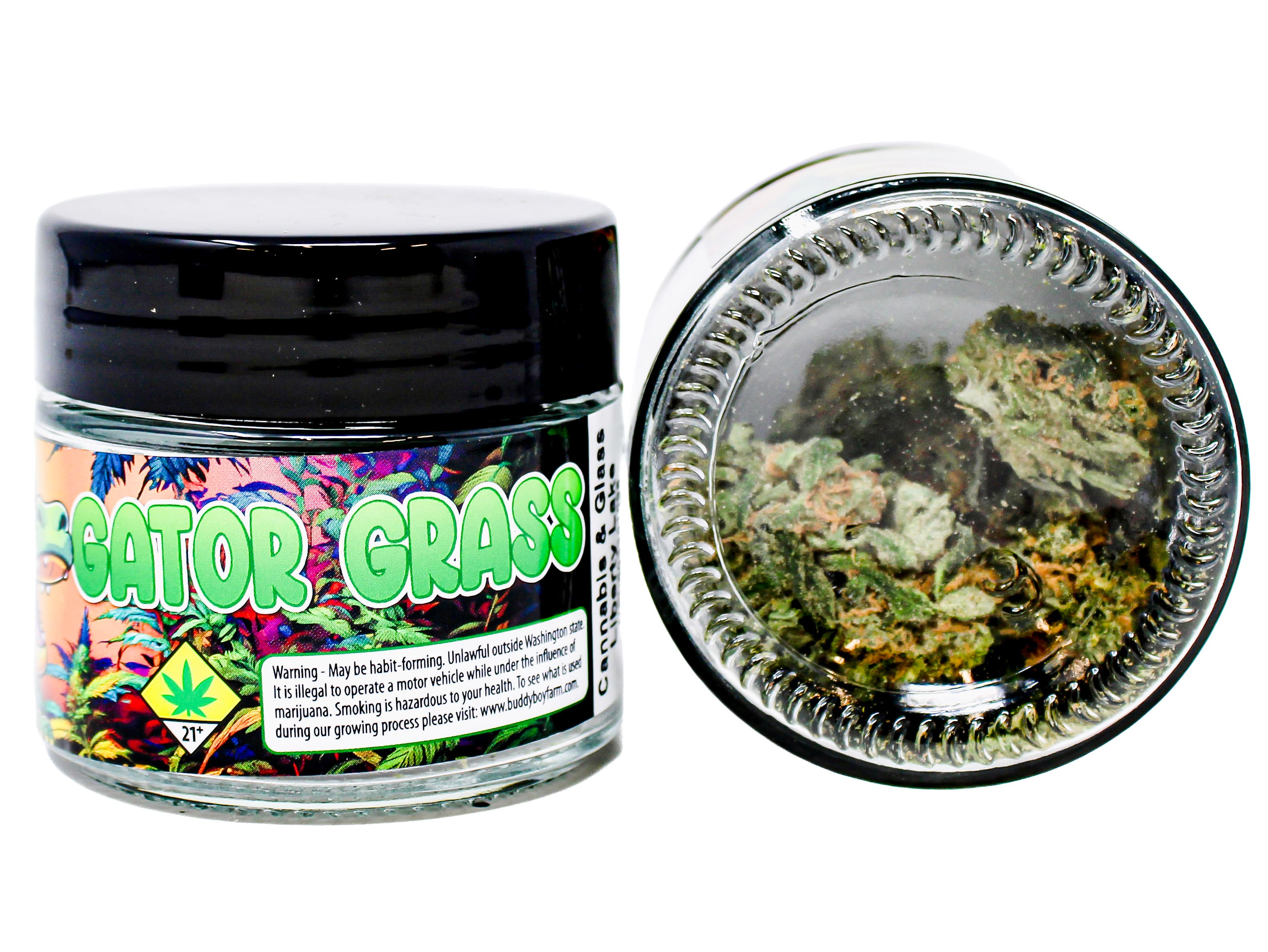 Gator Grass BDB Blue Dream 52570