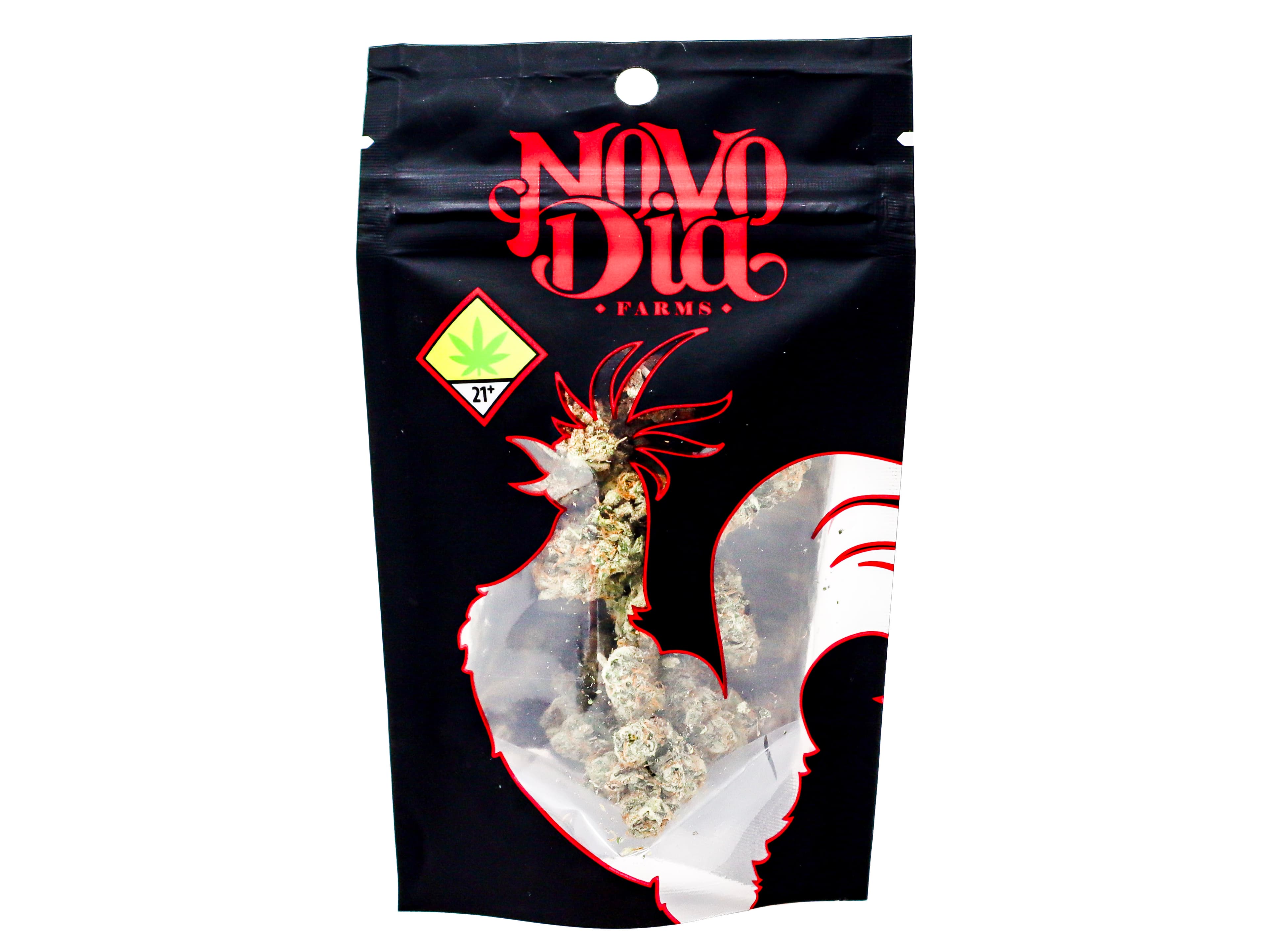Novo Dia