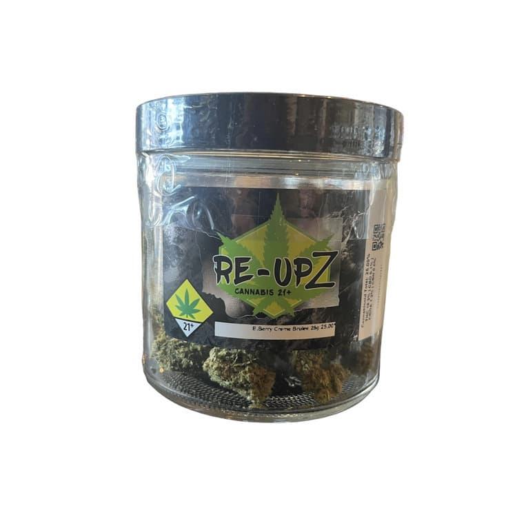 Re-Upz Re-Upz: Trixx