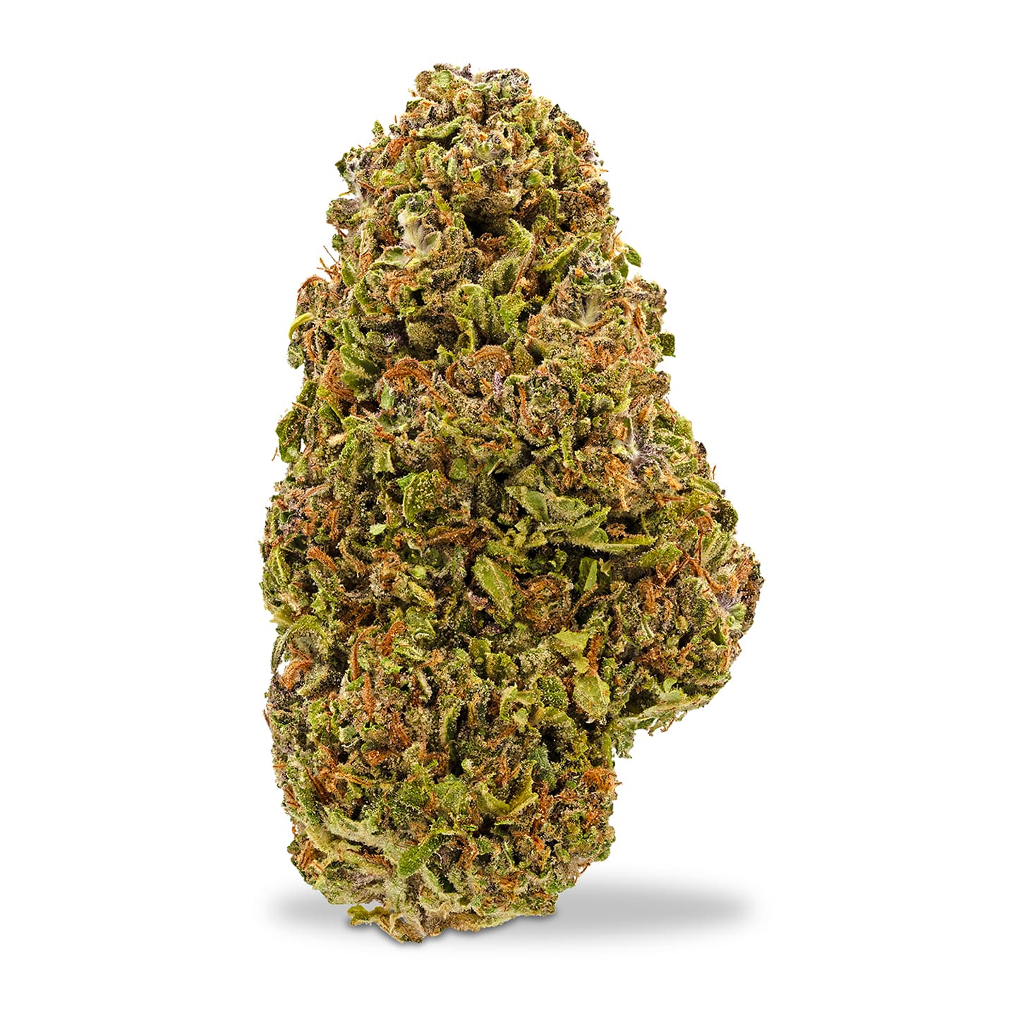 Alter Farms