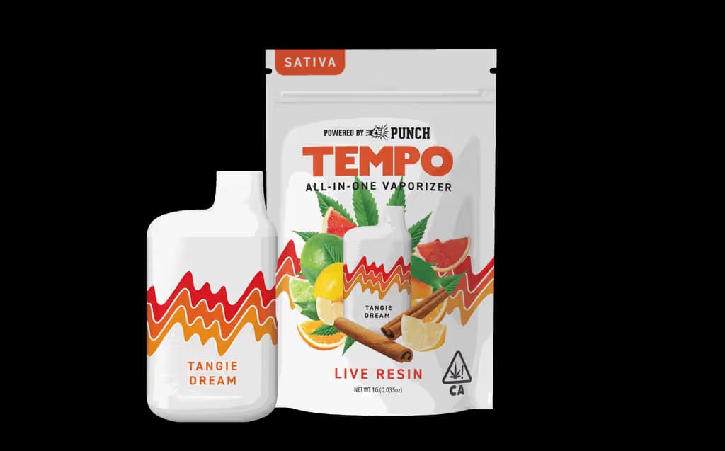 TEMPO Tangie Dream