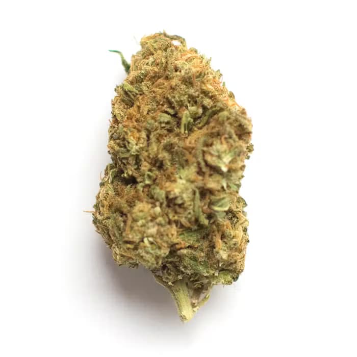 BuzzNug Ice Cream Cake - Sungrown