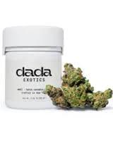 Dada Exotics | Boofberry Zilla | Indoor Flower | 3.5g