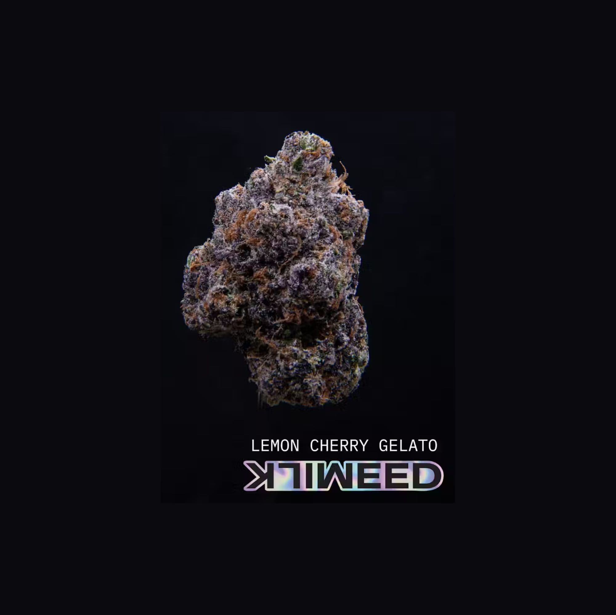 Milkweed LEMON CHERRY GELATO | FLOWER | 3.5G