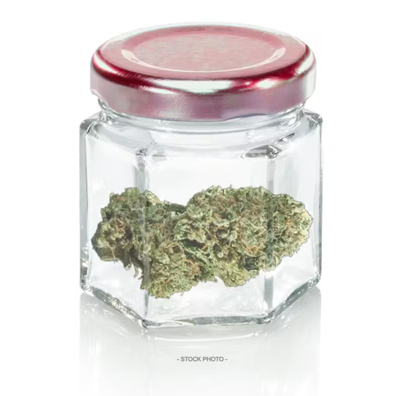 Kannabis
