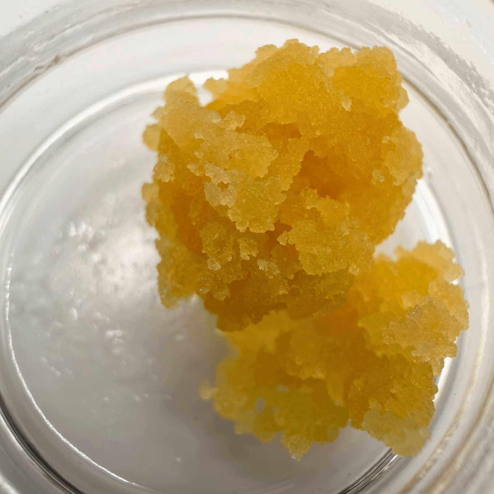 Sunshine Oregon Purple Rufios Crumble - H