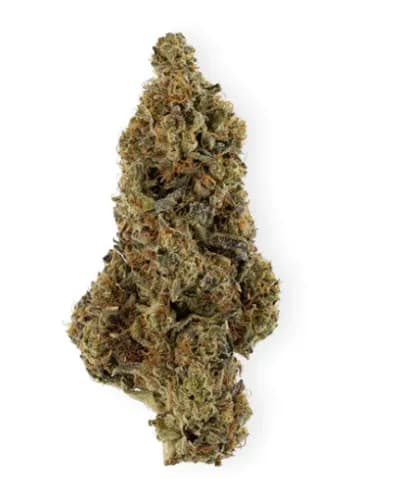 Herbal Dispatch Ultra TRIANGLE KUSH