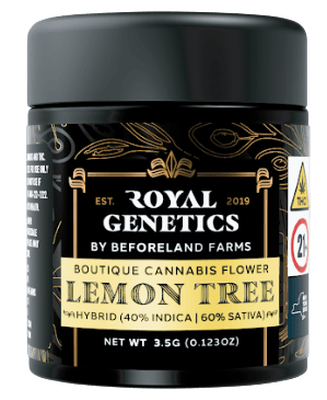 Royal Genetics Lemon Tree - Small Batch (3.5g)