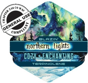 Trail Blazin' Northern Lights #5 2-Pack Pre-Roll | 1.2g