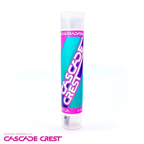 Cascade Crest Mimosa Pre-Roll 2pk | 1g
