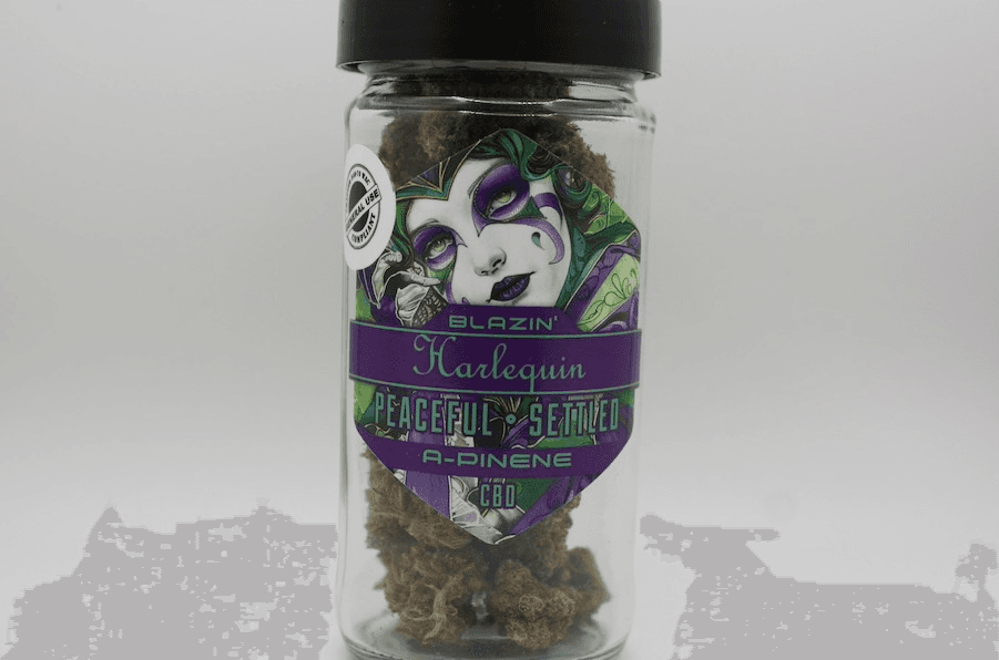 Trail Blazin' Harlequin (DOH)