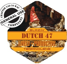 Trail Blazin' Dutch-47 2-Pack Pre-Roll | 1.2g