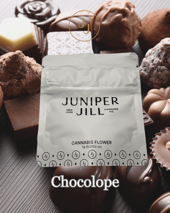 Juniper Jill Chocolope 2.0 | Flower | 1g
