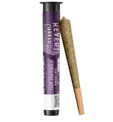 REVERT Grapelato (H) | Pre-Roll (.5G)