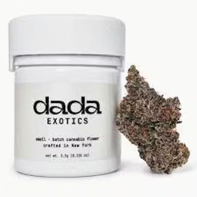 Dada Exotics | White Choco Chip