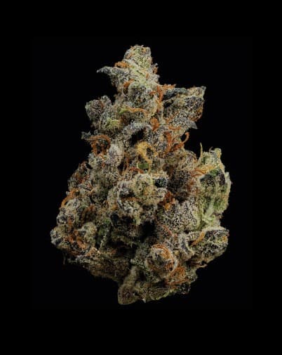 U4EA Gas Face 3.5G