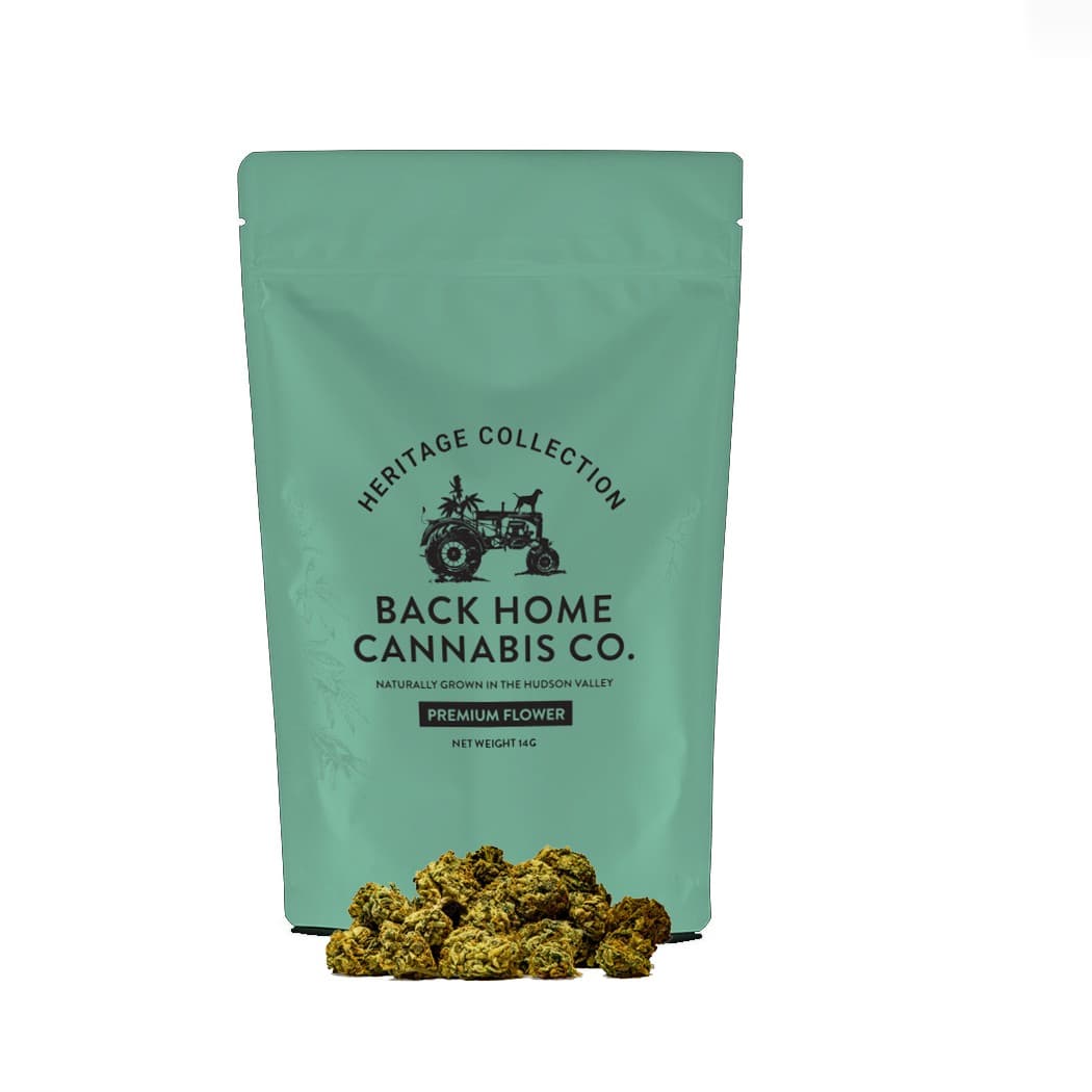 Back Home Cannabis Co. Jack Herer - 14g
