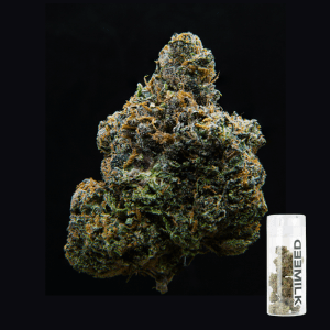 Milkweed CANDY FUNK | FLOWER | 3.5G