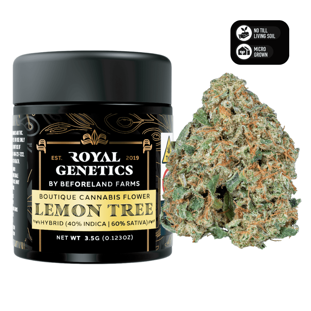 Royal Genetics Lemon Tree | Flower
