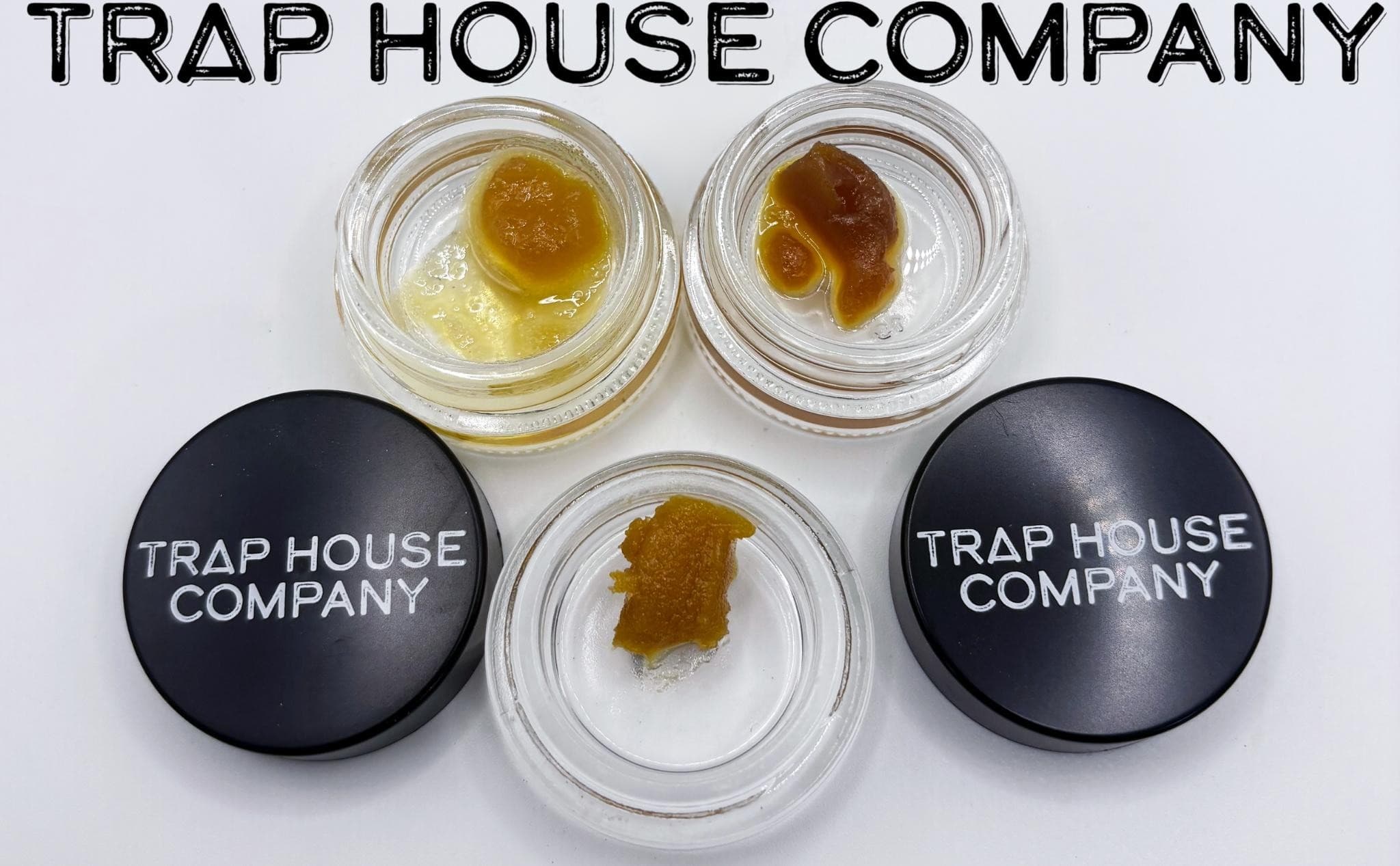 The Trap House Trap House | Ztank Lee | Cured Resin | 1g