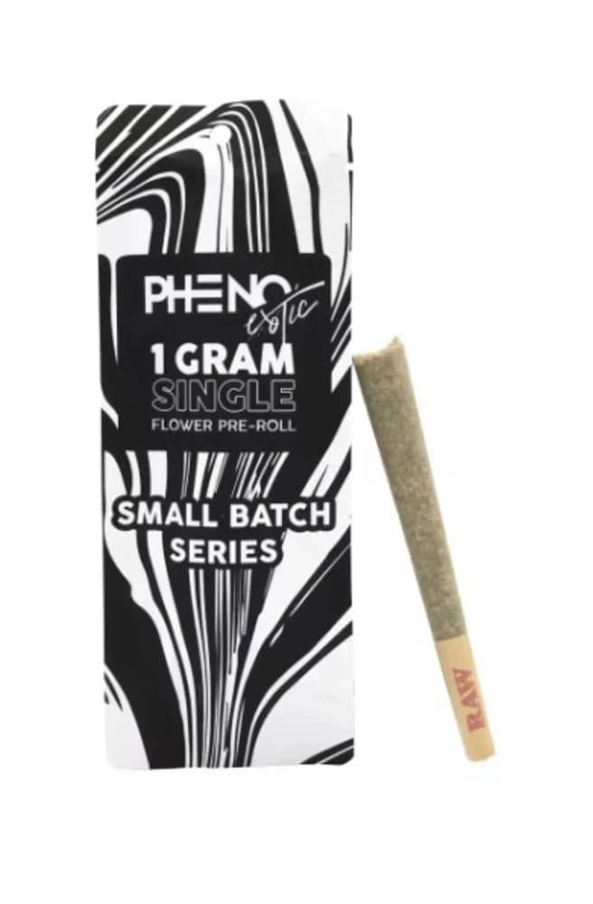 Pheno Exotic Pheno Exotic | Midnight In Paris [Preroll]