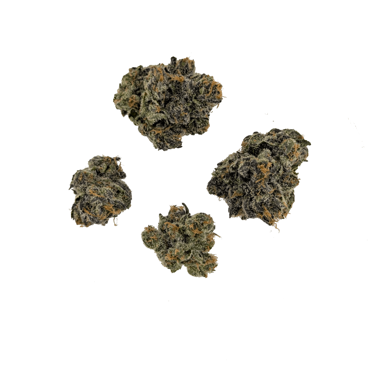 Rhize Cannabis Company Candied Oranges