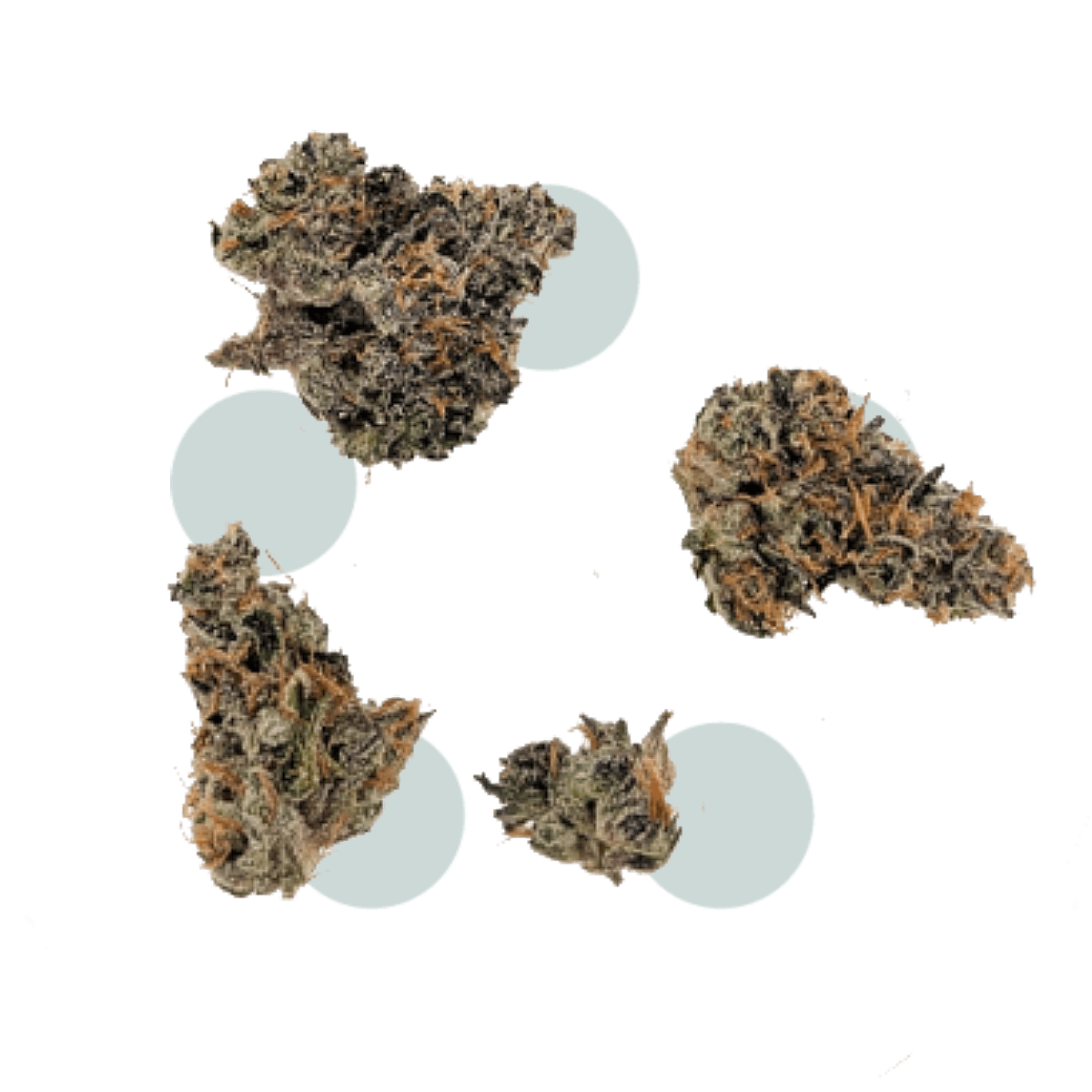 Rhize Cannabis Company Mellowz - Flower 8th