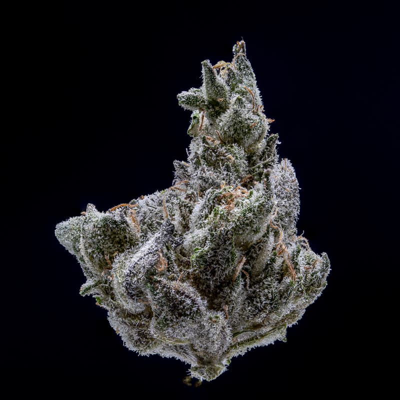 NoBo Cannabis NOBO Smalls Flower - Double Solo Burger #5